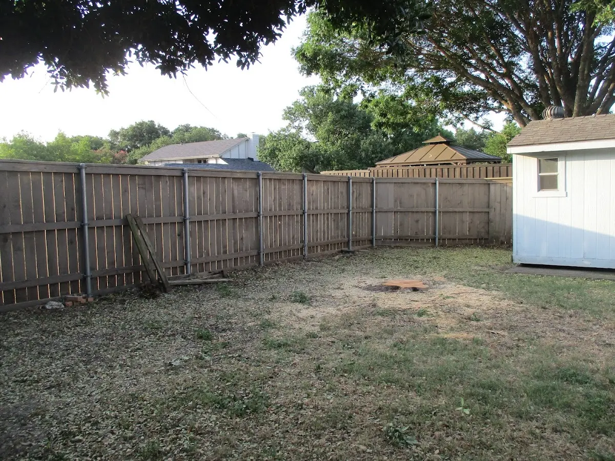Cleared yard after professional tree removal in Sumneytown